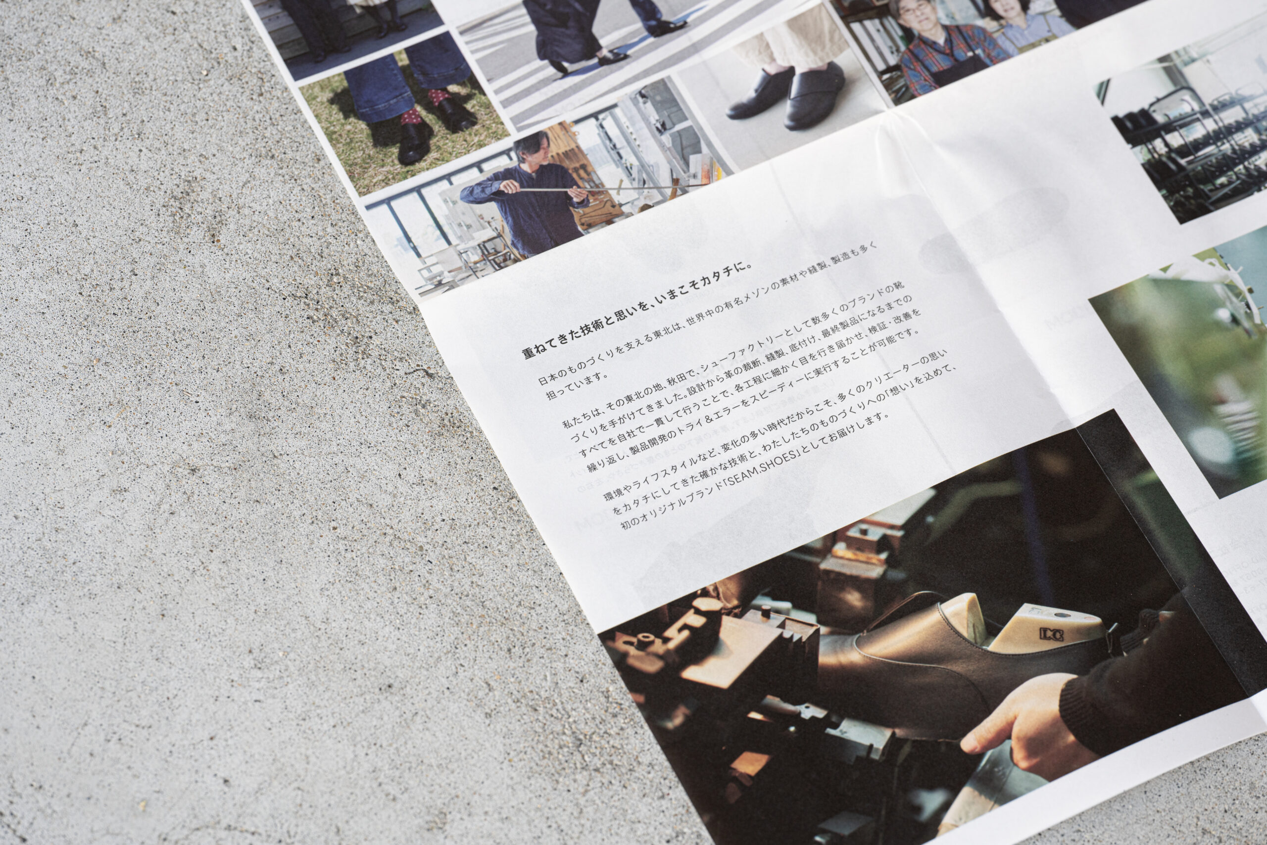 パンフレット誌面のクローズアップ